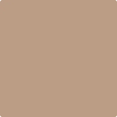 CSP-320 Dark Buff by Benjamin Moore