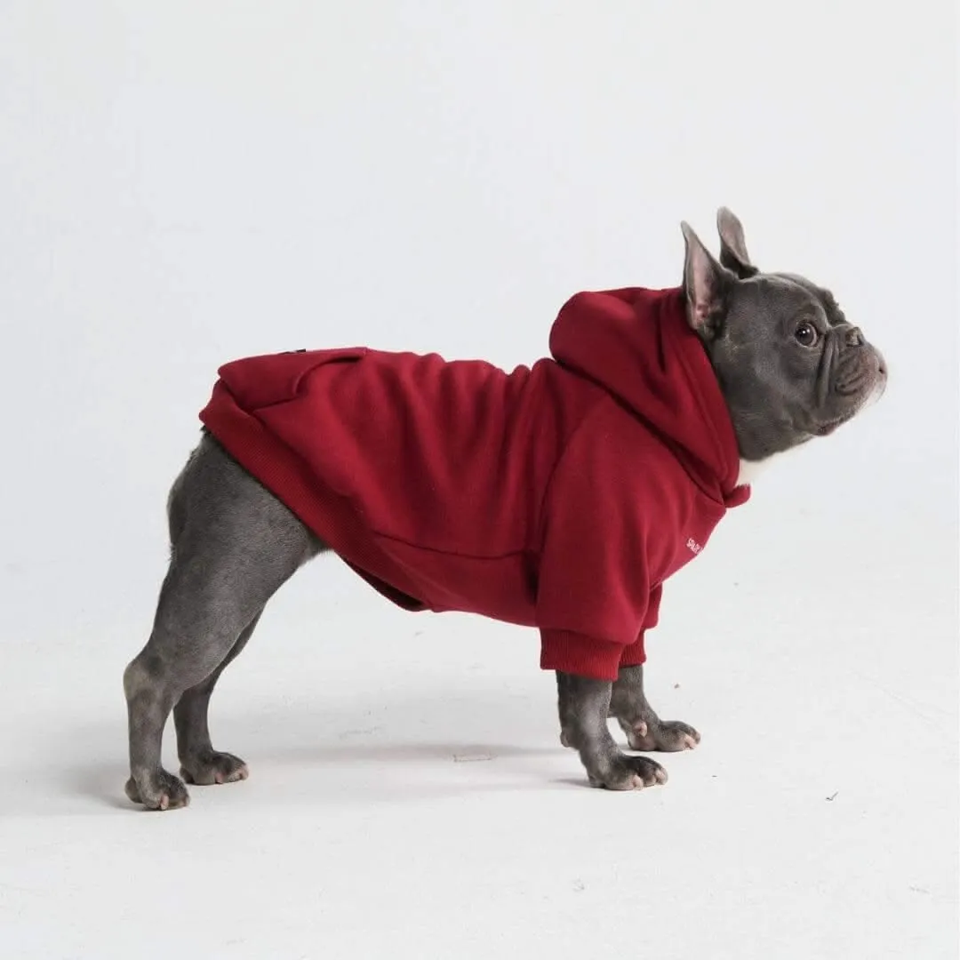 Essential Dog Hoodies