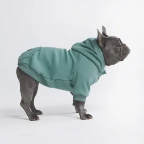 Essential Dog Hoodies