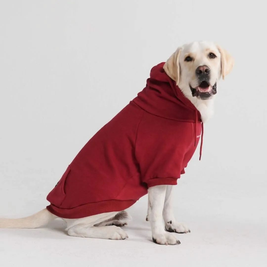 Essential Dog Hoodies