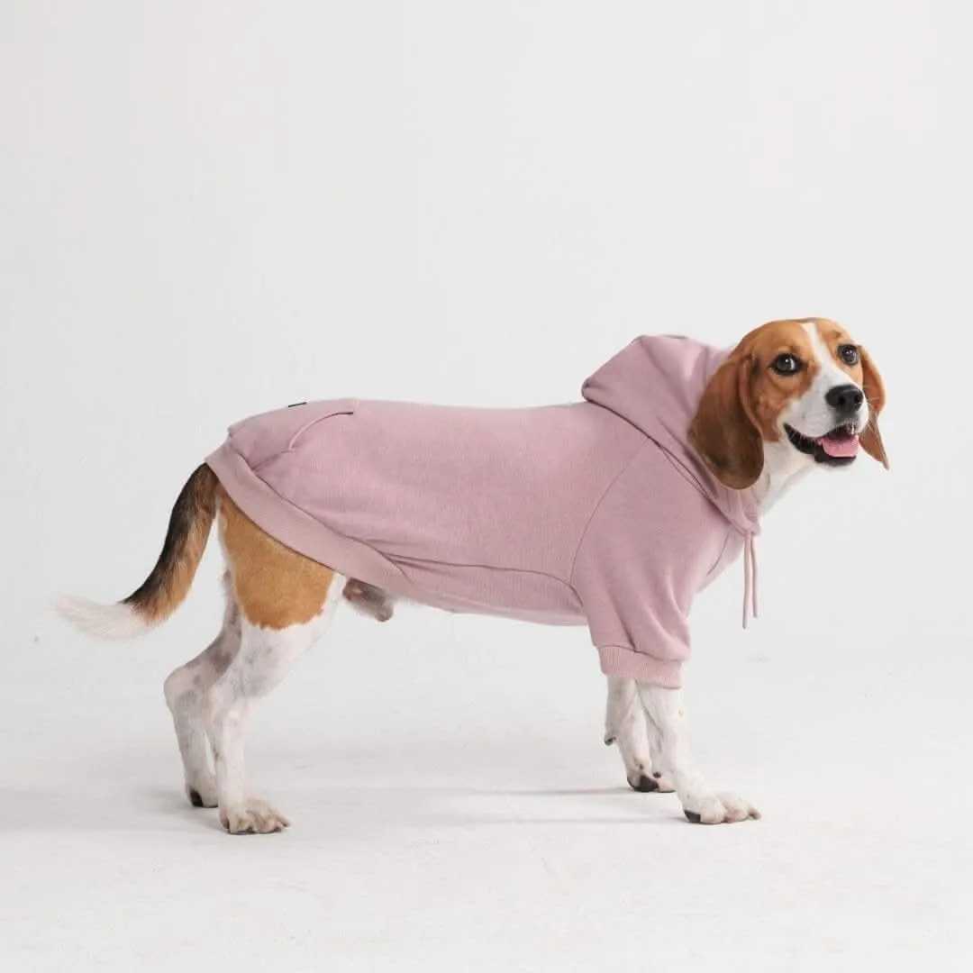 Essential Dog Hoodies