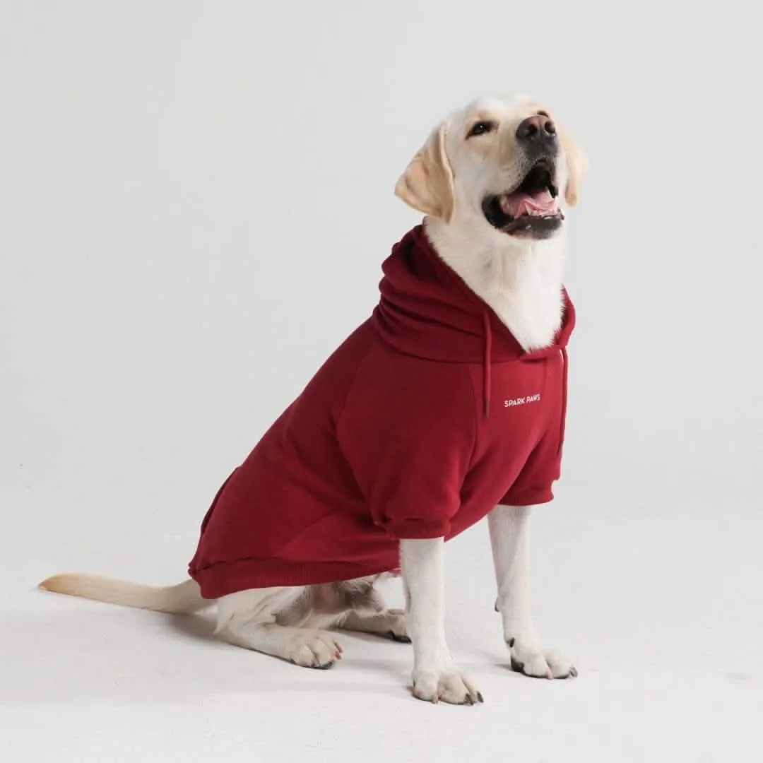 Essential Dog Hoodies