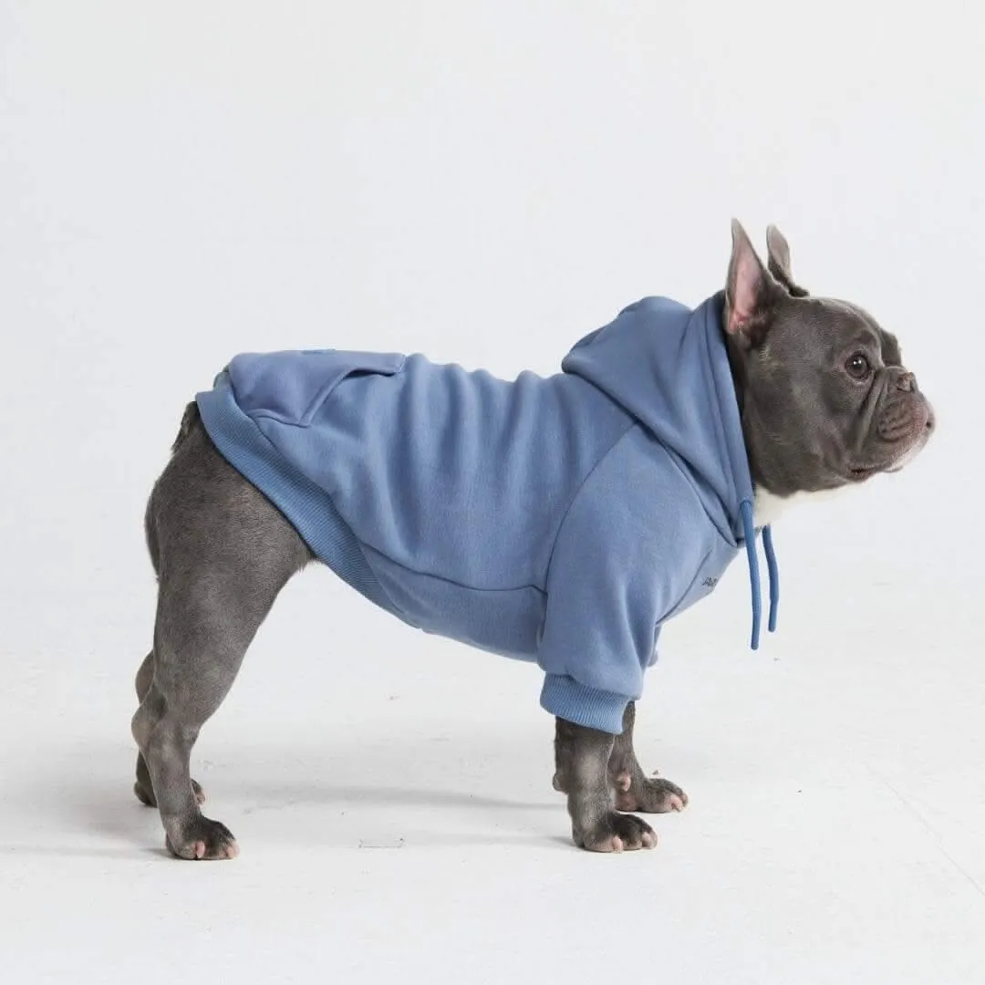 Essential Dog Hoodies