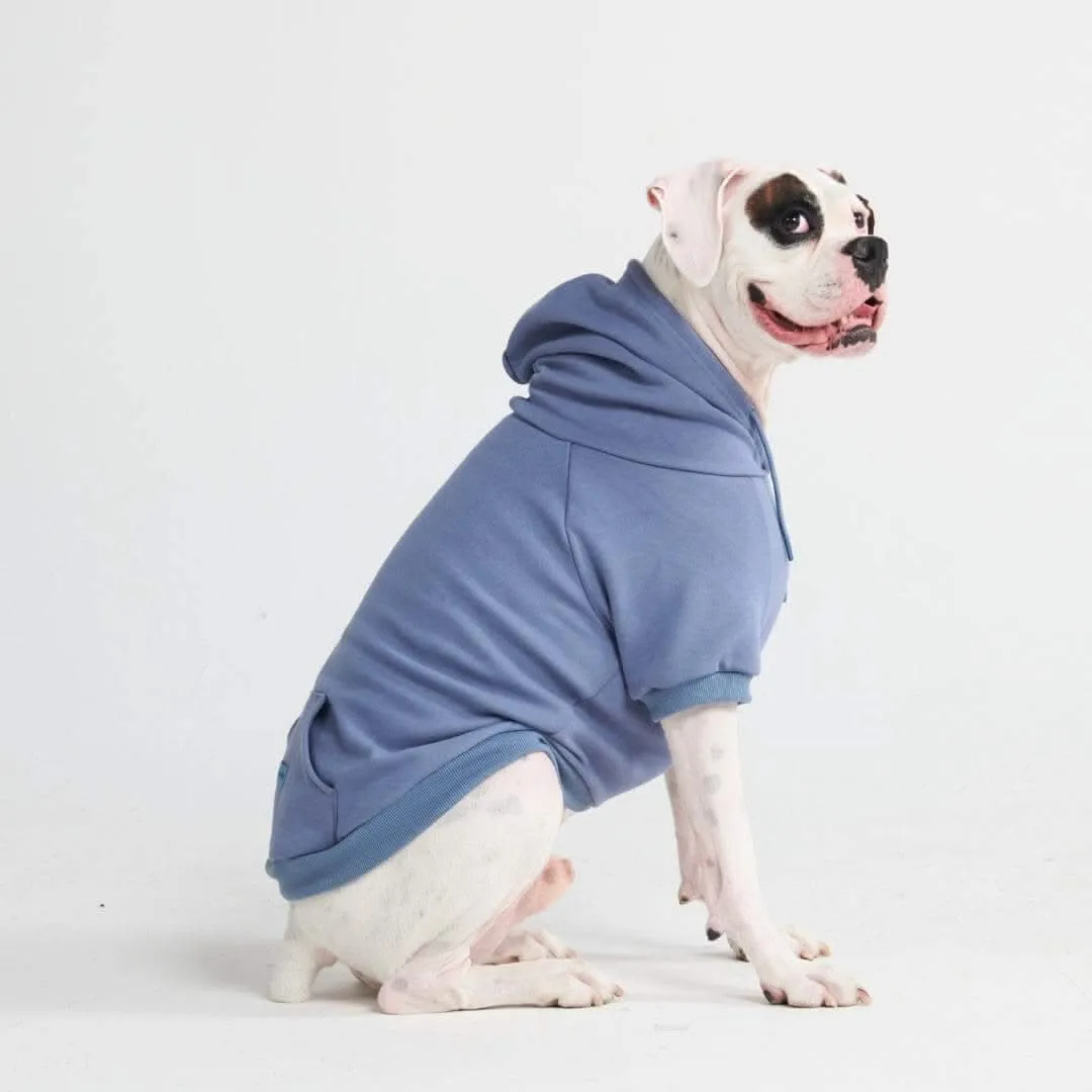 Essential Dog Hoodies