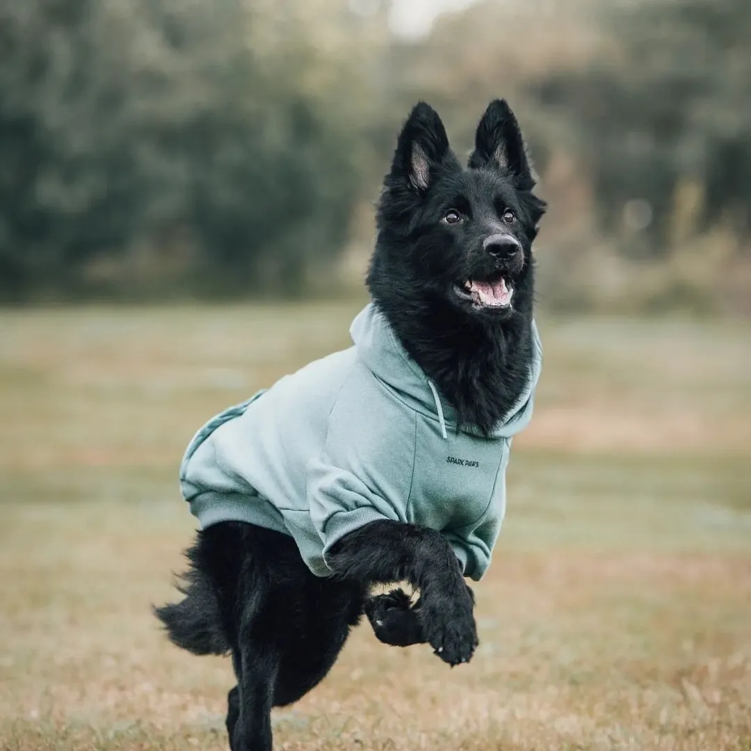 Essential Dog Hoodies