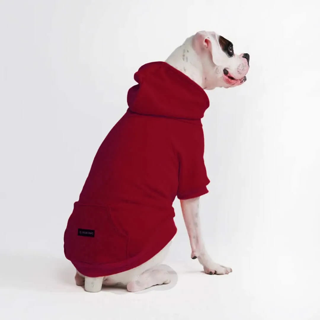 Essential Dog Hoodies